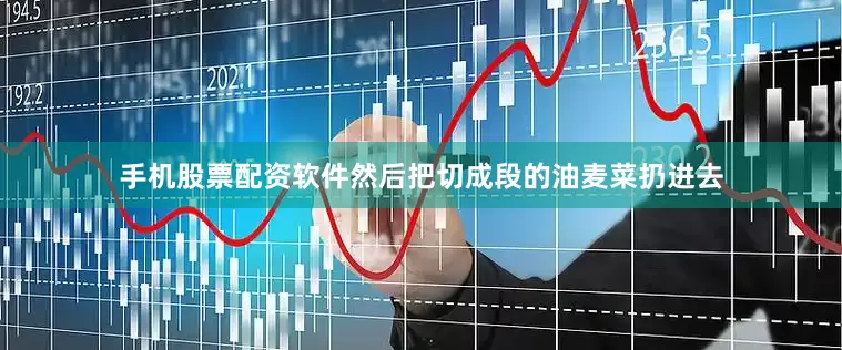 手机股票配资软件然后把切成段的油麦菜扔进去